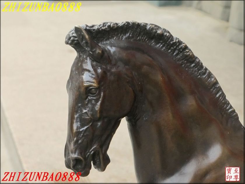 23HUGE Western ART Classic pure 100% Bronze India Marwari Horse race 